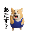デカ動く 3D猛コーギー（個別スタンプ：7）