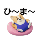 デカ動く 3D猛コーギー（個別スタンプ：15）