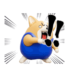 デカ動く 3D猛コーギー（個別スタンプ：18）