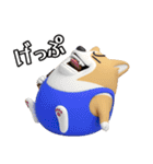 デカ動く 3D猛コーギー（個別スタンプ：21）
