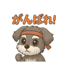 定番ちょっと推し活シュナウザースタンプ（個別スタンプ：26）