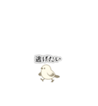 【極小】本音を代弁するシマエナガ（個別スタンプ：25）