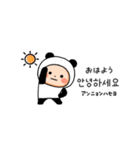 ▶︎動く！パンダタイツまるの韓国語（個別スタンプ：1）