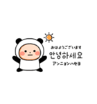▶︎動く！パンダタイツまるの韓国語（個別スタンプ：2）