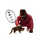 ゴリラ様！動く（個別スタンプ：1）