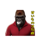 ゴリラ様！動く（個別スタンプ：11）