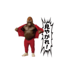 ゴリラ様！動く（個別スタンプ：13）