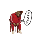 ゴリラ様！動く（個別スタンプ：14）