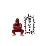ゴリラ様！動く（個別スタンプ：16）