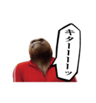 ゴリラ様！動く（個別スタンプ：20）