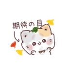 秋＊うるうるおめめ＊ぷにゃんこ（個別スタンプ：12）