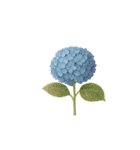 オーダーメイドの花束（個別スタンプ：10）