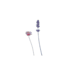 オーダーメイドの花束（個別スタンプ：17）