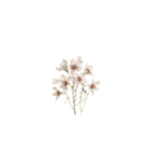オーダーメイドの花束（個別スタンプ：32）