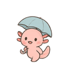 ウーパールーパー 雨の日（個別スタンプ：1）