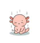 ウーパールーパー 雨の日（個別スタンプ：3）