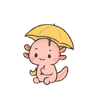 ウーパールーパー 雨の日（個別スタンプ：15）