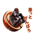 秋はやっぱり栗ゴリラw！3Dリアル（個別スタンプ：9）