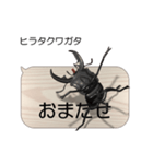 集まれ！日本のクワガタ1（個別スタンプ：4）