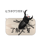 集まれ！日本のクワガタ1（個別スタンプ：5）