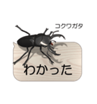 集まれ！日本のクワガタ1（個別スタンプ：7）