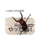 集まれ！日本のクワガタ1（個別スタンプ：14）