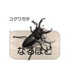 集まれ！日本のクワガタ1（個別スタンプ：18）