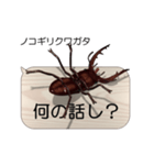集まれ！日本のクワガタ1（個別スタンプ：20）