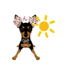 まめぴん321*Chloeちゃん.ver（個別スタンプ：16）