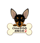 まめぴん321*Chloeちゃん.ver（個別スタンプ：17）