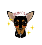 まめぴん321*Chloeちゃん.ver（個別スタンプ：20）