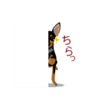 まめぴん321*Chloeちゃん.ver（個別スタンプ：22）