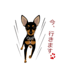 まめぴん321*Chloeちゃん.ver（個別スタンプ：26）