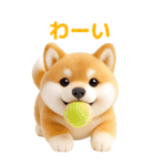 ぬいぐるみ風・柴犬❤️毎日使える日常会話（個別スタンプ：12）