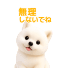 ぬいぐるみ風・柴犬❤️毎日使える日常会話（個別スタンプ：22）