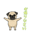 [お帰りなさい専用]パグ（個別スタンプ：1）