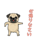 [お帰りなさい専用]パグ（個別スタンプ：2）