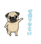[お帰りなさい専用]パグ（個別スタンプ：4）
