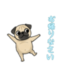 [お帰りなさい専用]パグ（個別スタンプ：5）