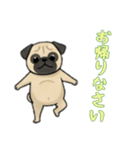 [お帰りなさい専用]パグ（個別スタンプ：6）