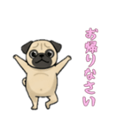 [お帰りなさい専用]パグ（個別スタンプ：9）