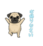 [お帰りなさい専用]パグ（個別スタンプ：10）
