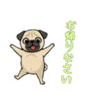 [お帰りなさい専用]パグ（個別スタンプ：11）