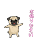 [お帰りなさい専用]パグ（個別スタンプ：14）