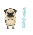 [お帰りなさい専用]パグ（個別スタンプ：15）