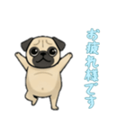 [お疲れ様です専用]パグ（個別スタンプ：1）