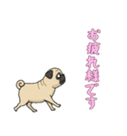 [お疲れ様です専用]パグ（個別スタンプ：2）
