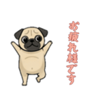 [お疲れ様です専用]パグ（個別スタンプ：3）
