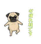 [お疲れ様です専用]パグ（個別スタンプ：4）