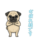[お疲れ様です専用]パグ（個別スタンプ：6）